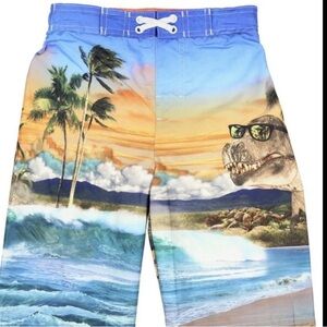 Dinosaur Swim Trunks